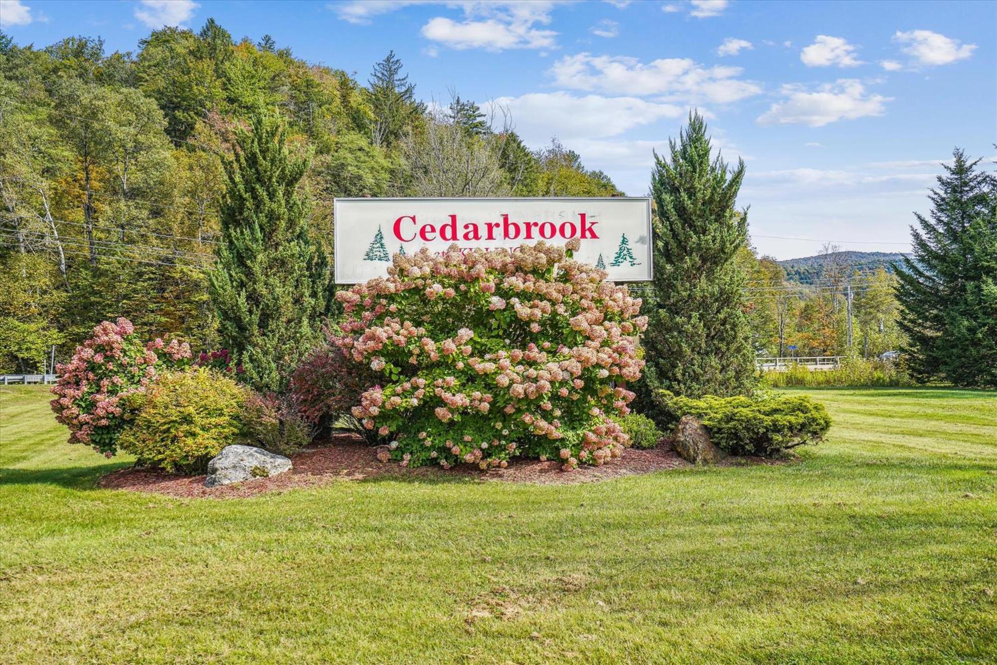 Cedarbrook Deluxe Two Bedroom Suite With Outdoor Heated Pool 19110 คิลลิงตัน ภายนอก รูปภาพ